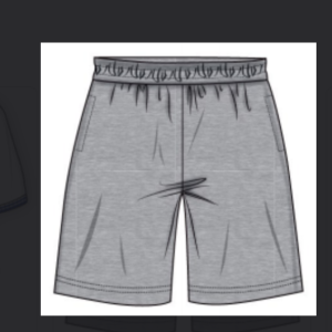 Summer school uniform shorts